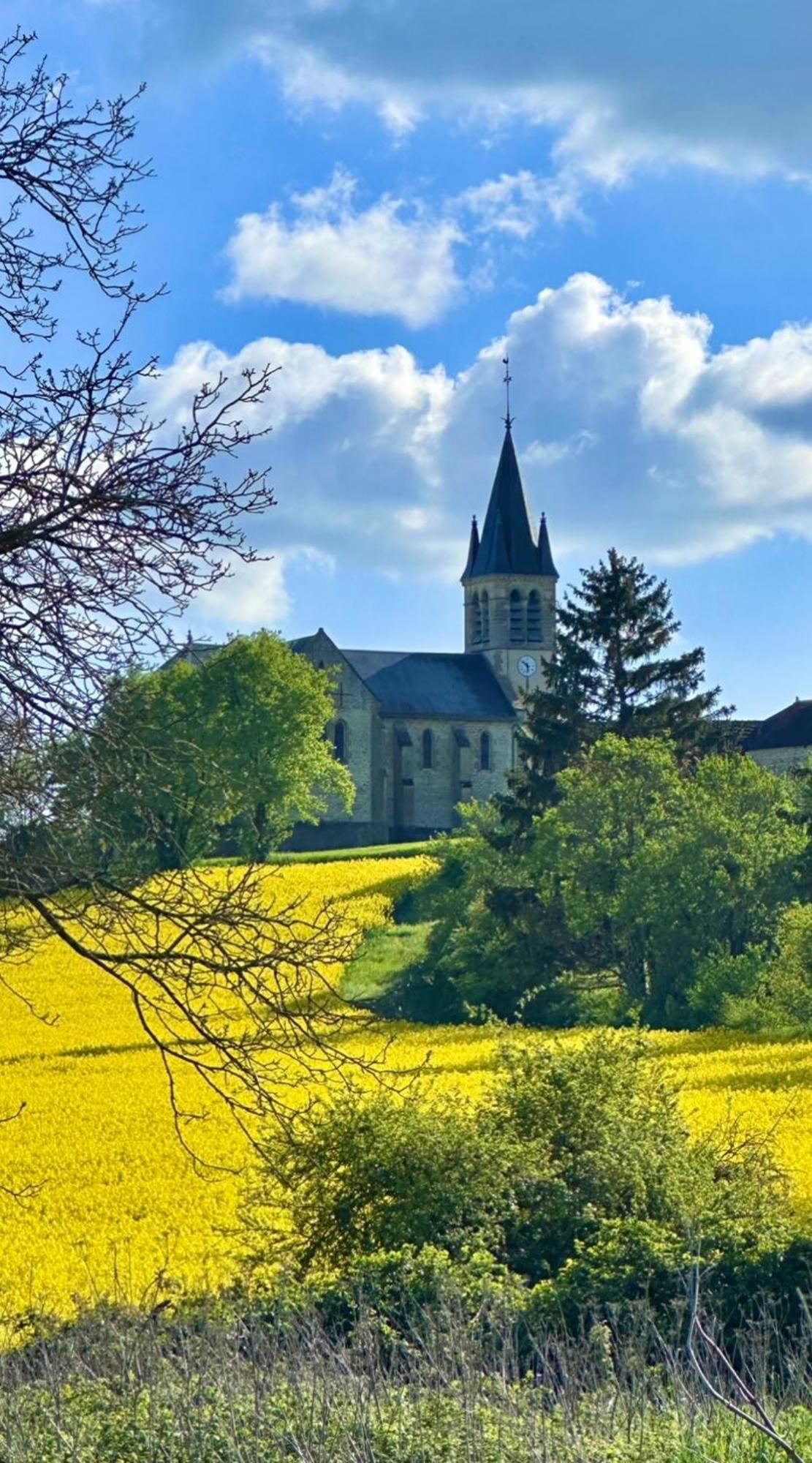 Bed and Breakfast La Cour Des Delices Gigny  Экстерьер фото